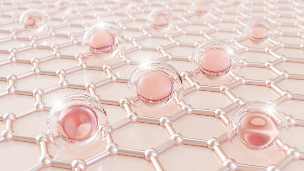 Breakouts or Breakthrough? Navigating the Purge Phase