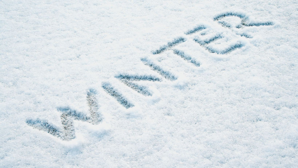 Winter-Proof Your Skin: An Ingredient-Led Survival Guide